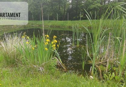 Obniżka !!!dom nad rzeką dz. 2924 m²  natura 2000