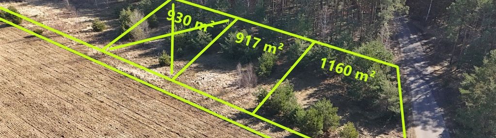 Działka przy ścianie lasu