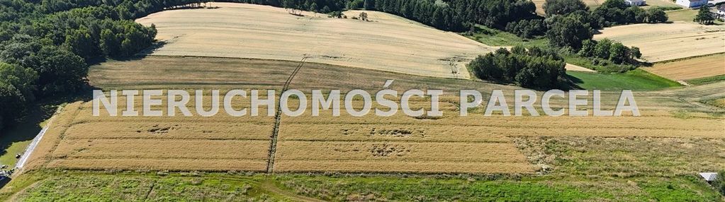 Działki budowlane w wodzisławiu śląskim