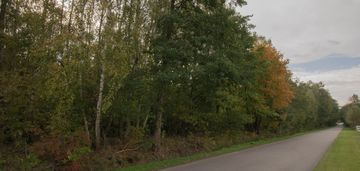 Działka 49ar w majdanie sieniawskim