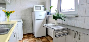 Przestronne, dwupokojowe mieszkanie obok parku.