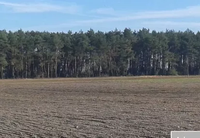 Działka na sprzedaż 234m2