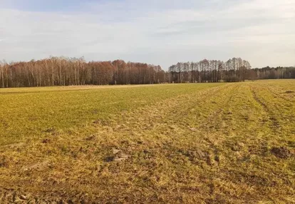 Działka na sprzedaż 8000m2