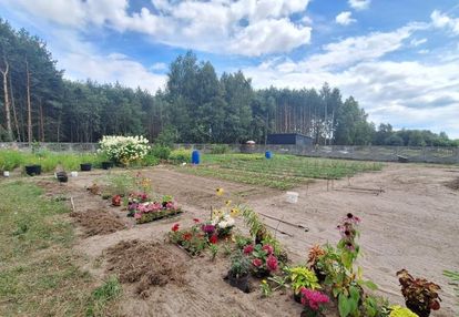 Zabudowana działka granicząca z lasem, adamów gm. bełchatów