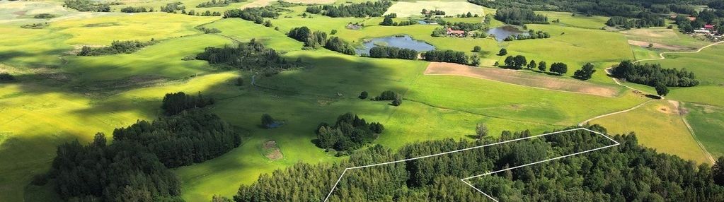 Działka pod siedlisko, w otoczeniu lasu