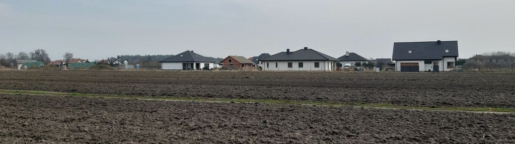 1000 m2 w zaborówku