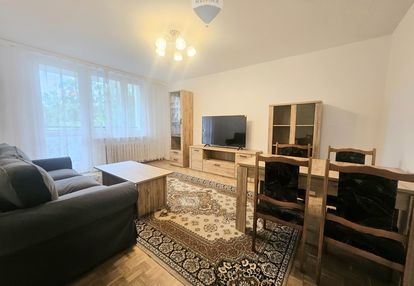 Na wynajem 3 oddzielne pokoje