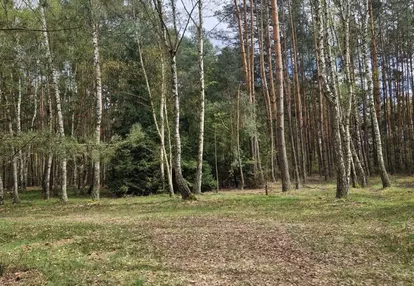 Działka na sprzedaż 9100m2