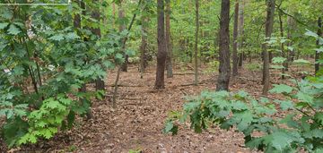 Prestiżowa lokalizacja | świetny dojazd