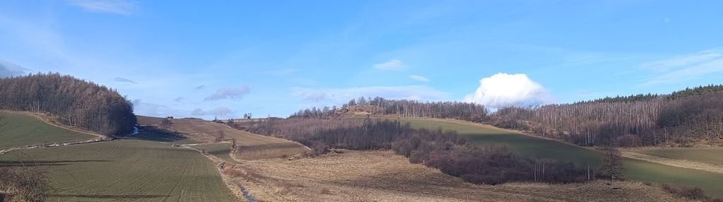 Działka rolna w atrakcyjnej cenie