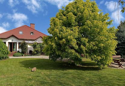 Długołęka, dom 231 m2, działka 13,9 ar, rok 2005