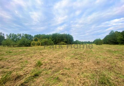 Działka boruja nowa 9,27 ha