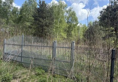 Działka 3001m2, anielin swędowski