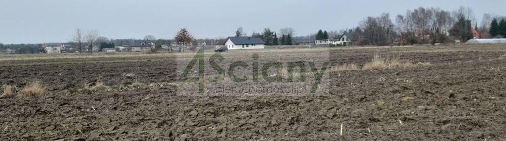1000 m2 w zaborówku