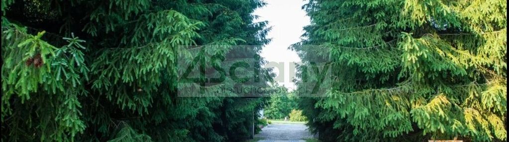 Działka inewstycyjna w gminie żabia wola