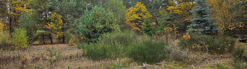 Wz 2 domy 2-lokalowe, dobre sąsiedztwo, las