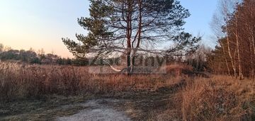 W gminie żabia wola, blisko lasu