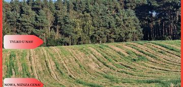 Działka z linią brzegową jeziora, wydane wz