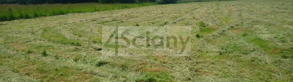 Cicha i spokojna okolica