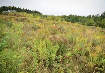 Działka na sprzedaż 3000m2