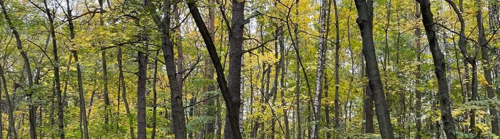 Działka na sprzedaż 3900m2