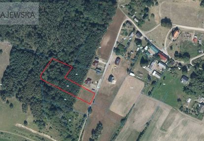 Duża działka z własnym lasem w kępie!