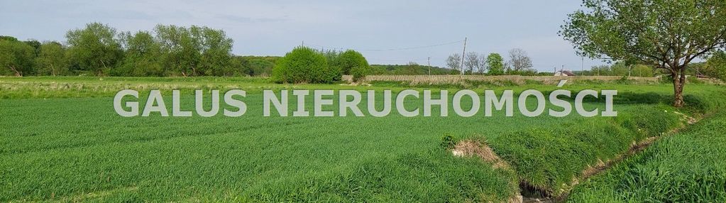 Działka orna - książ wielki