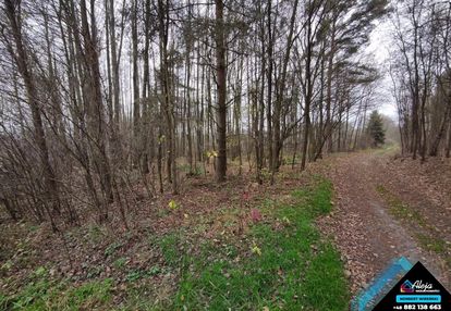 Duża działka leśna