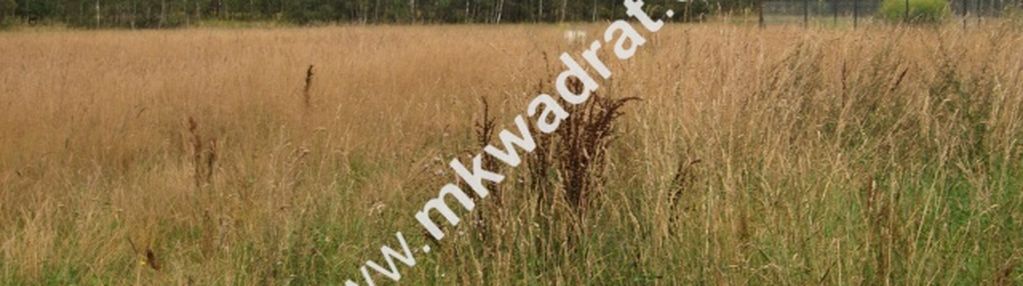 Siestrzeń działka 1500m2