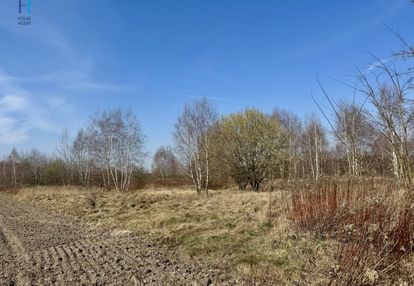Urokliwa działka rolno-budowlana w nieborowie