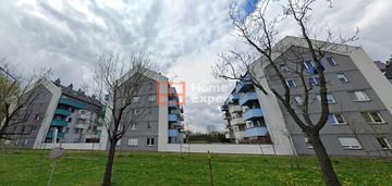 Okolice ul. góreckiej   nowe2013/taras