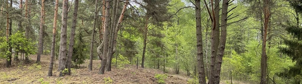 Działka w lesie 2064 m² - letniskowa i całoroczna
