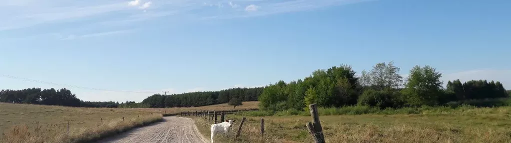 Działka na sprzedaż 4000m2