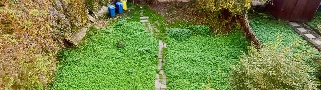 Zrób pierwszy krok – grzegórzki czekają