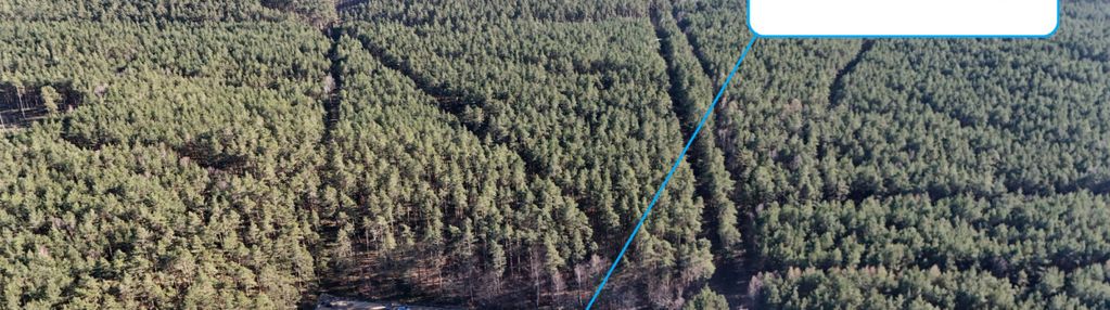 Działka budowlana 1176 m² • warszkowo • przy lesie