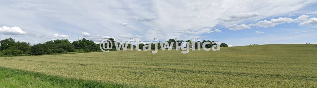 Działka budowlana w strzegomianach.