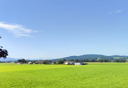 Działka budowlana na sprzedaż zebrzydów