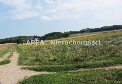 Działka rolna,wierzchlesie,gm. szudziałowo, 2000m2