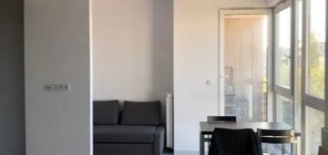 Kawalerka na pradze-południe