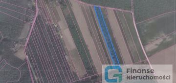 Atrakcyjna działka leśno-rekreacyjna. strobów.