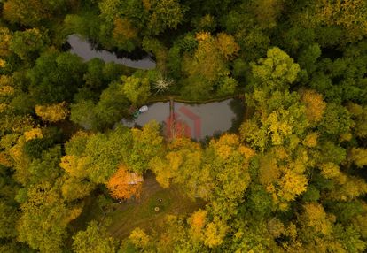 Gęsty las ze stawem 12 hektarów jak bieszczady