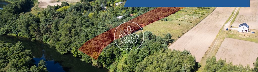 Działka rolna 8198 m² nad brdą – inwestycja i rek
