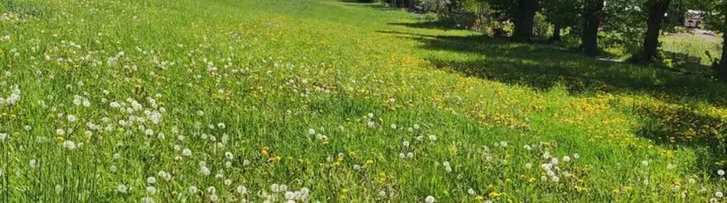 Działka na sprzedaż 1500m2