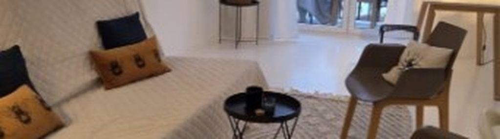 Kawalerka na powiślu