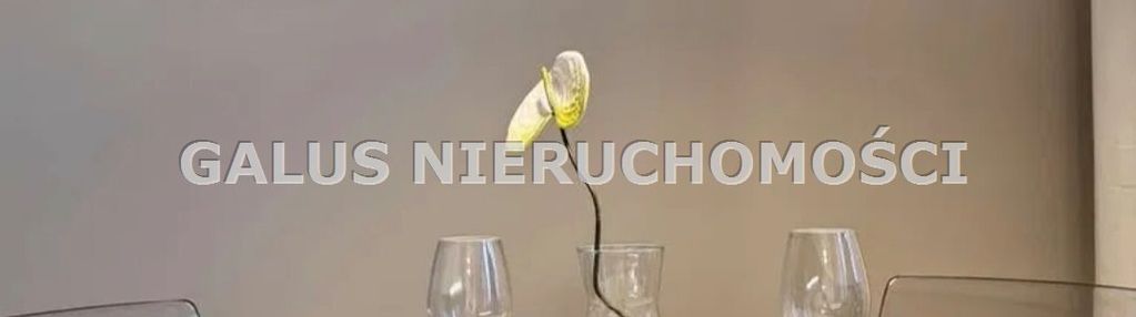 Wyjątkowe mieszkanie–emaus salwator. ciche i zielo