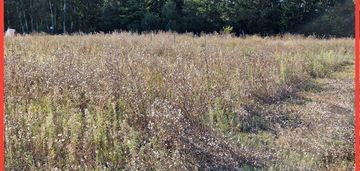Działka budowlana blisko lasu