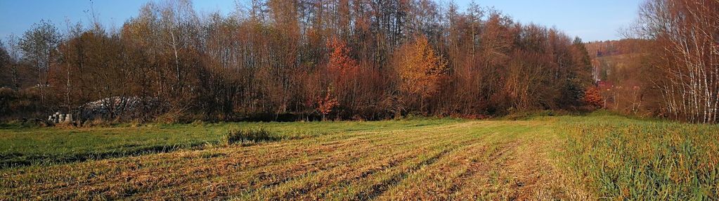 Dla dewelopera, dobra lokalizacja, blisko krakowa