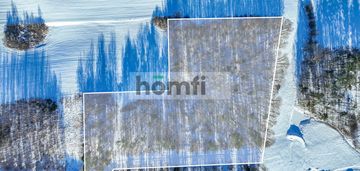 Działka leśna – czarna dąbrówka, rokity