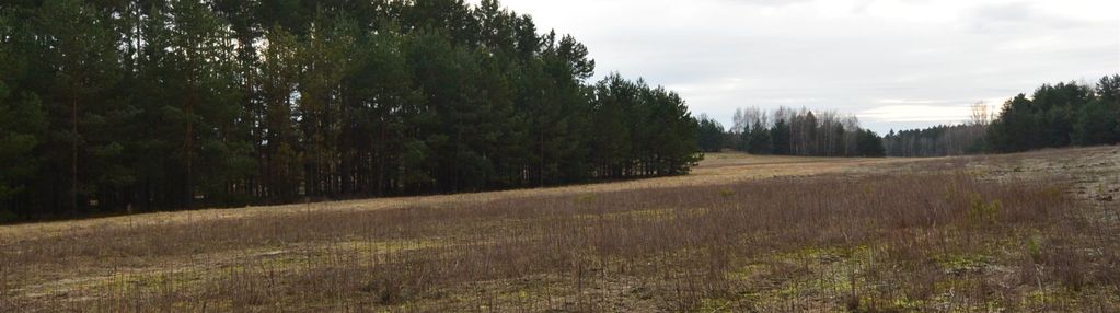 Działka o pow. 337 500 m2 ewelinów, gm. łopuszno