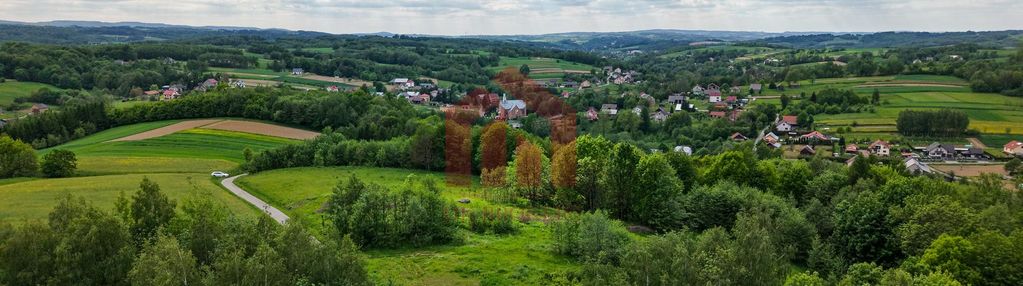 Wolność z wz w planie ogólnym, cisza :)